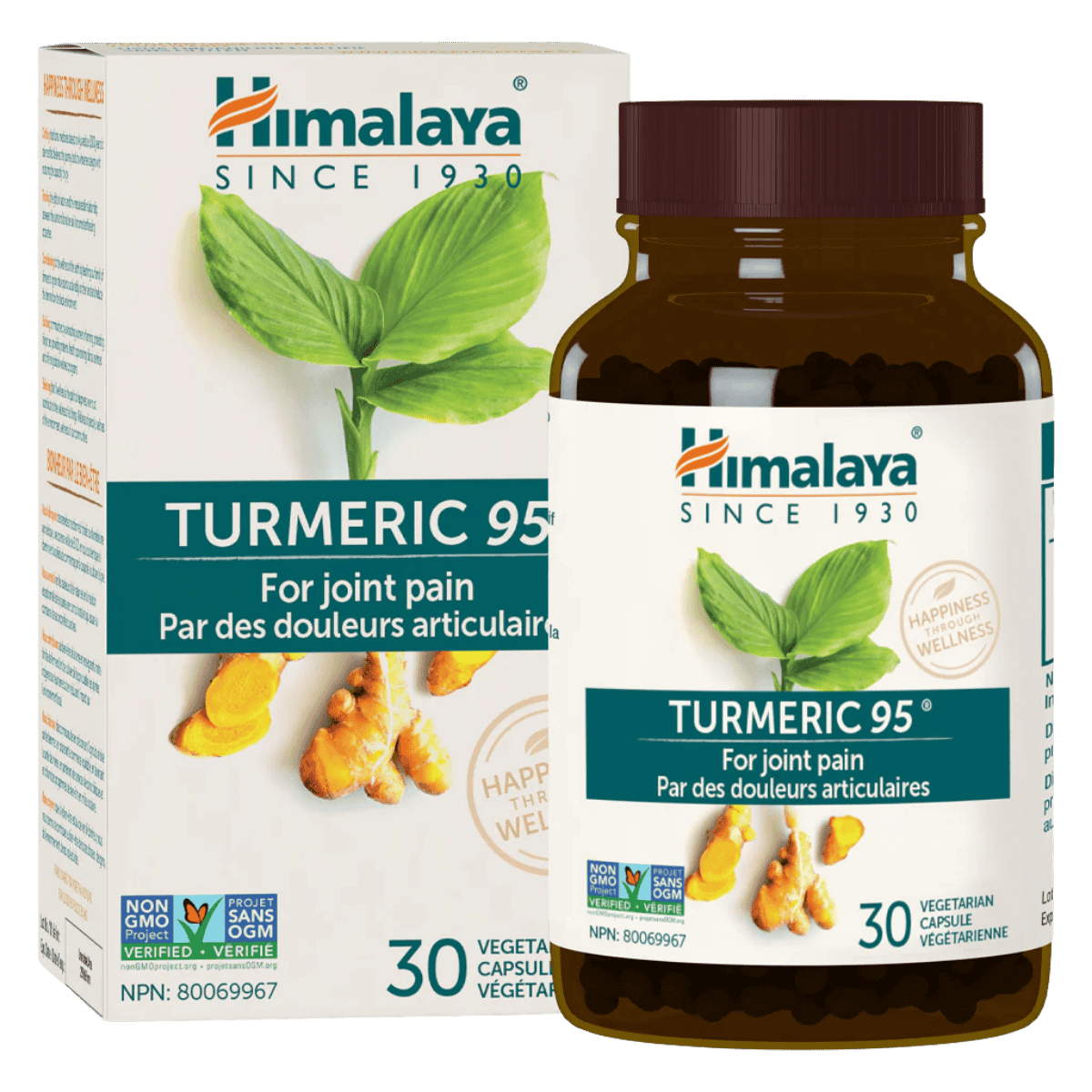 Himalaya Turmeric 95® Vegetarian Capsules