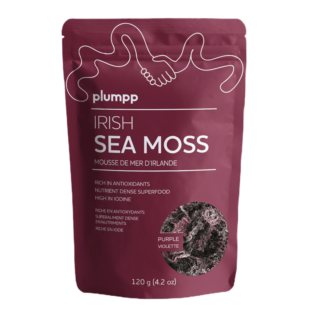 Plumpp Irish Sea Moss Purple